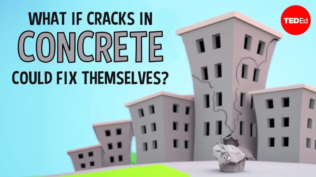 What if cracks in concrete could fix themselves?