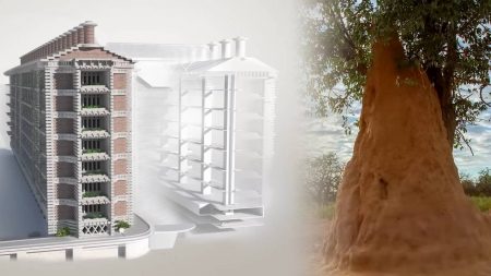 The Power of Biomimicry: Discovering Self-Cooling Buildings Inspired by Termites